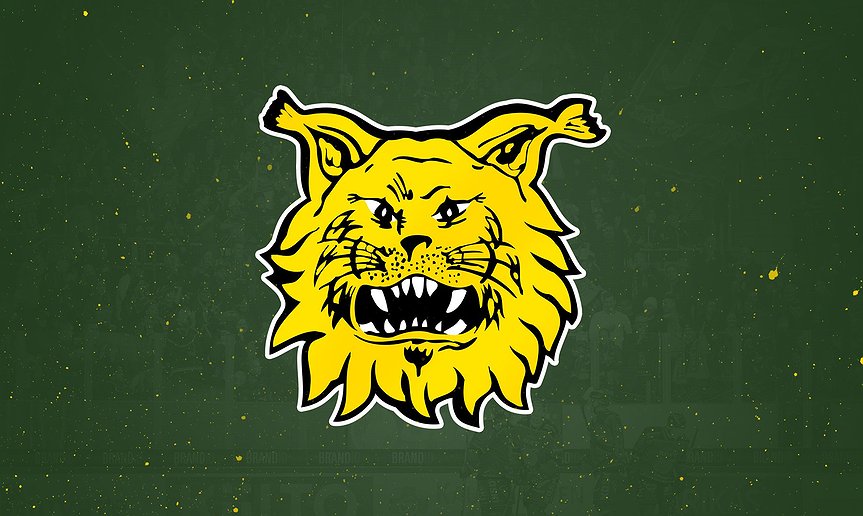 liiga.fi
